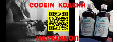 гашик Кингисепп