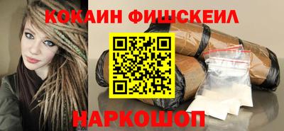 гашик Кингисепп