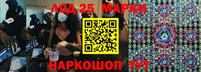 гашик Кингисепп