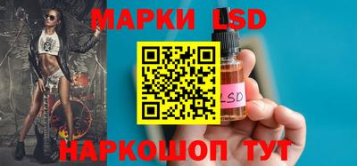 гашик Кингисепп