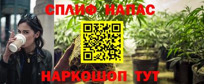 гашик Кингисепп
