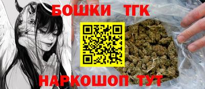 гашик Кингисепп