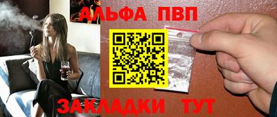 гашик Кингисепп