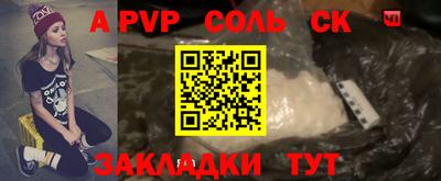 гашик Кингисепп