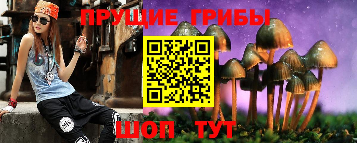 Кумертау  Псилоцибиновые грибы ЛСД  Вход с VPN 